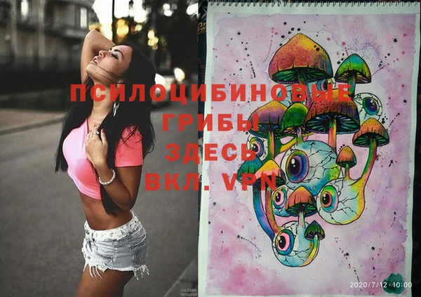 гидропоника Каменск-Шахтинский